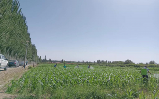 复洛科技 洛浦县2025年重大项目集中开(复)工 为经济发展按下“加速键” 复洛科技 洛浦县2025年重大项目集中开(复)工 为经济发展按下“加速键”