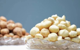 上海菁芽科技 坚果奇遇记——云南临沧与澳洲坚果的故事