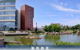 日津科技股票 津药药业股价微涨024%，股东户数增至403万户