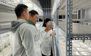 中心远科技 苏超逆流而上，赞助费飙升至300万，仍一席难求