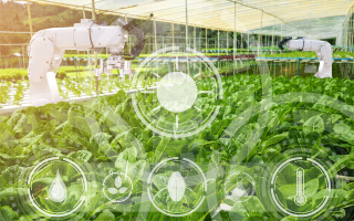 天津科技素材 天津：智慧科技赋能农业生产