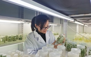 创建生物科技 造物玫瑰！生物科技梦工厂走向“光明”