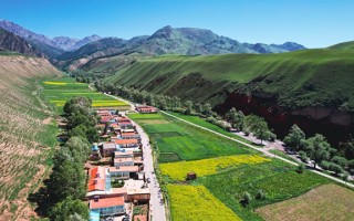 塔石科技 天山乡白杨沟村:有种幸福叫“家门口就业” 塔石科技 天山乡白杨沟村:有种幸福叫“家门口就业”